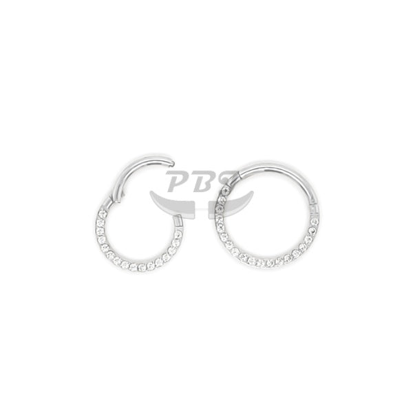 16g Hinged Segment See Front CZ set 316L Surgical Steel